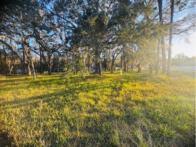 17476 Nicholas Avenue Brooksville FL 34604 G5105810 image3