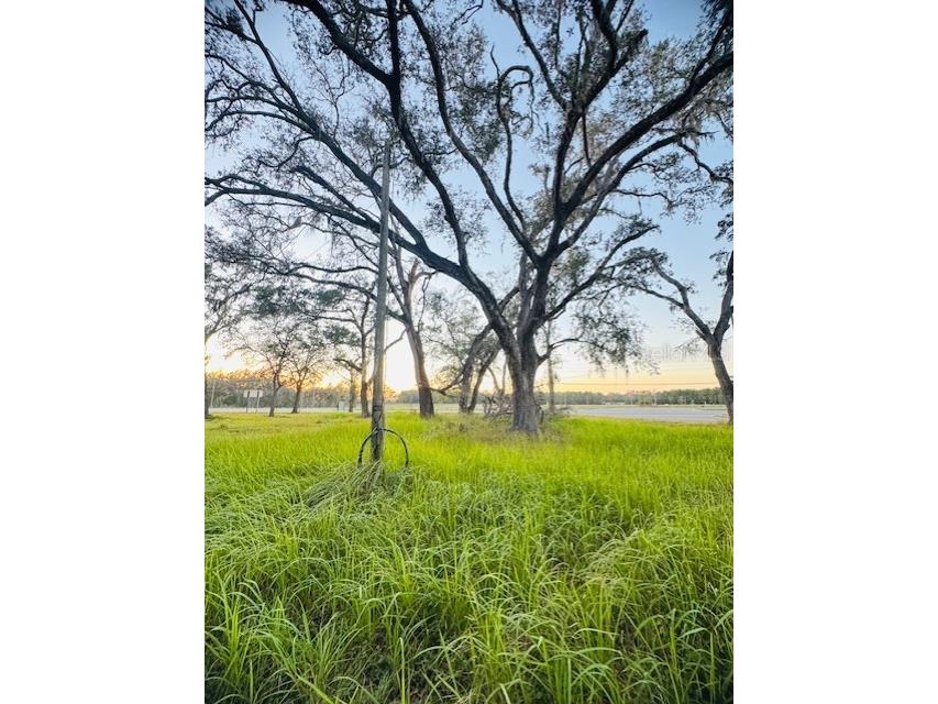 17476 Nicholas Avenue Brooksville FL 34604 G5105810 image33
