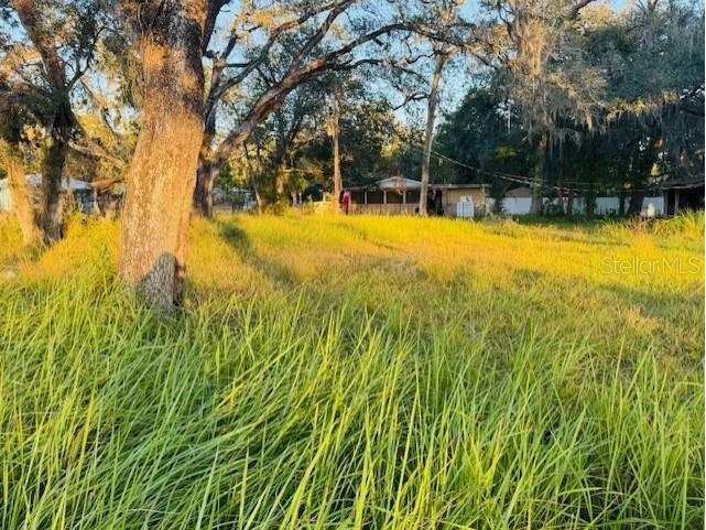 17476 Nicholas Avenue Brooksville FL 34604 G5105810 image8