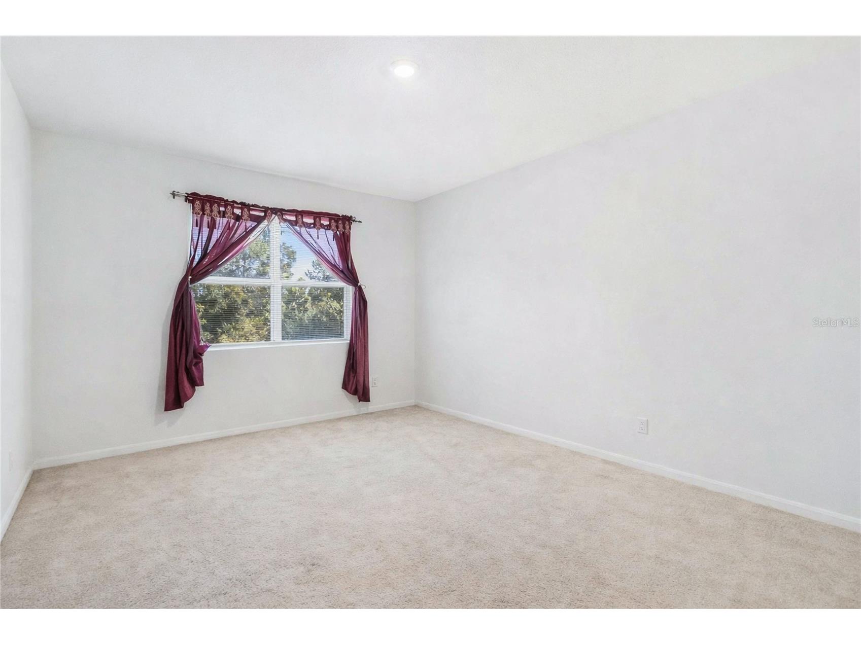 17478 Blazing Star Circle Clermont FL 34714 O6369709 image16