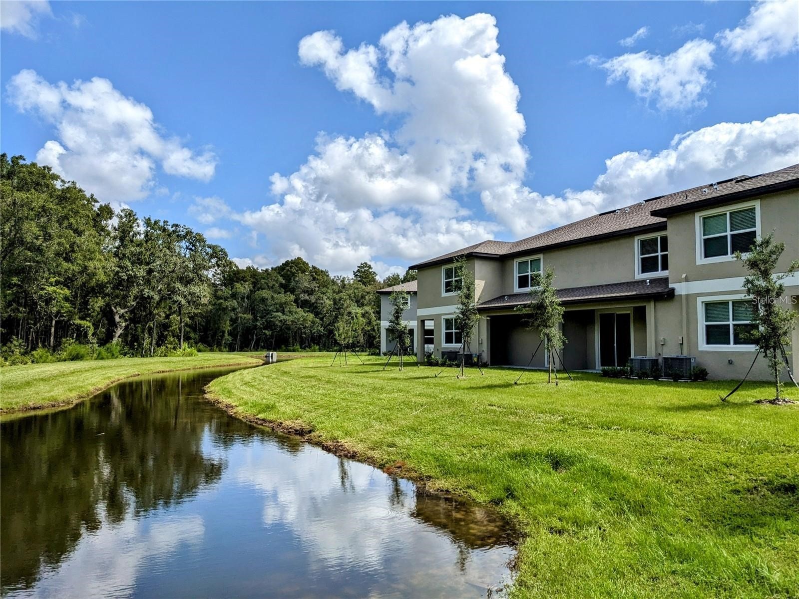 17478 Nectar Flume Drive Land O Lakes FL 34638 TB8529483 image18