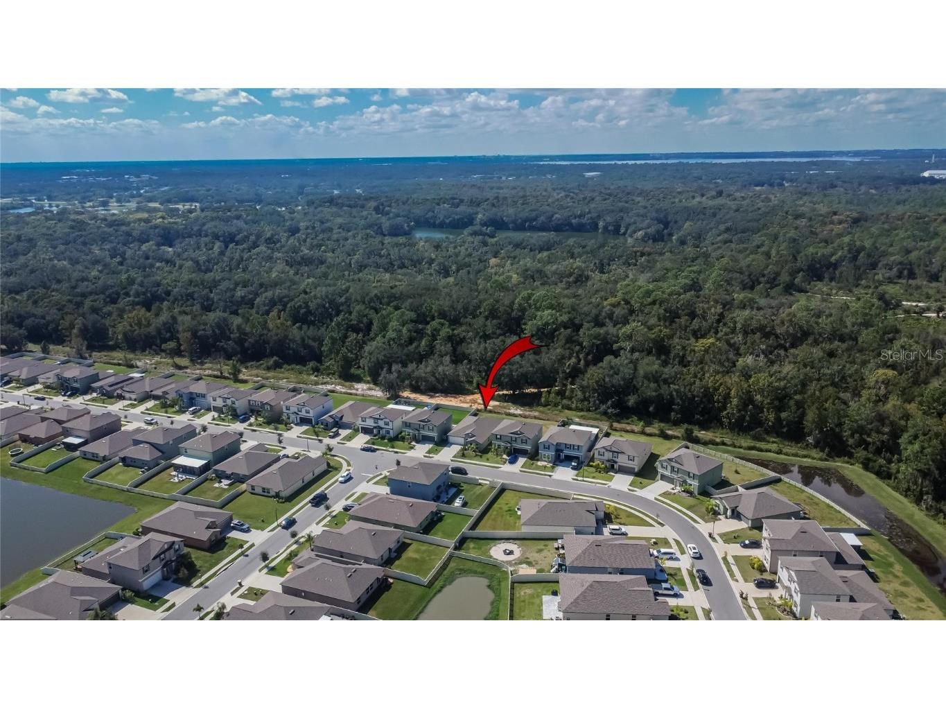 1748 Red Loop Lakeland FL 33801 TB8440325 image57