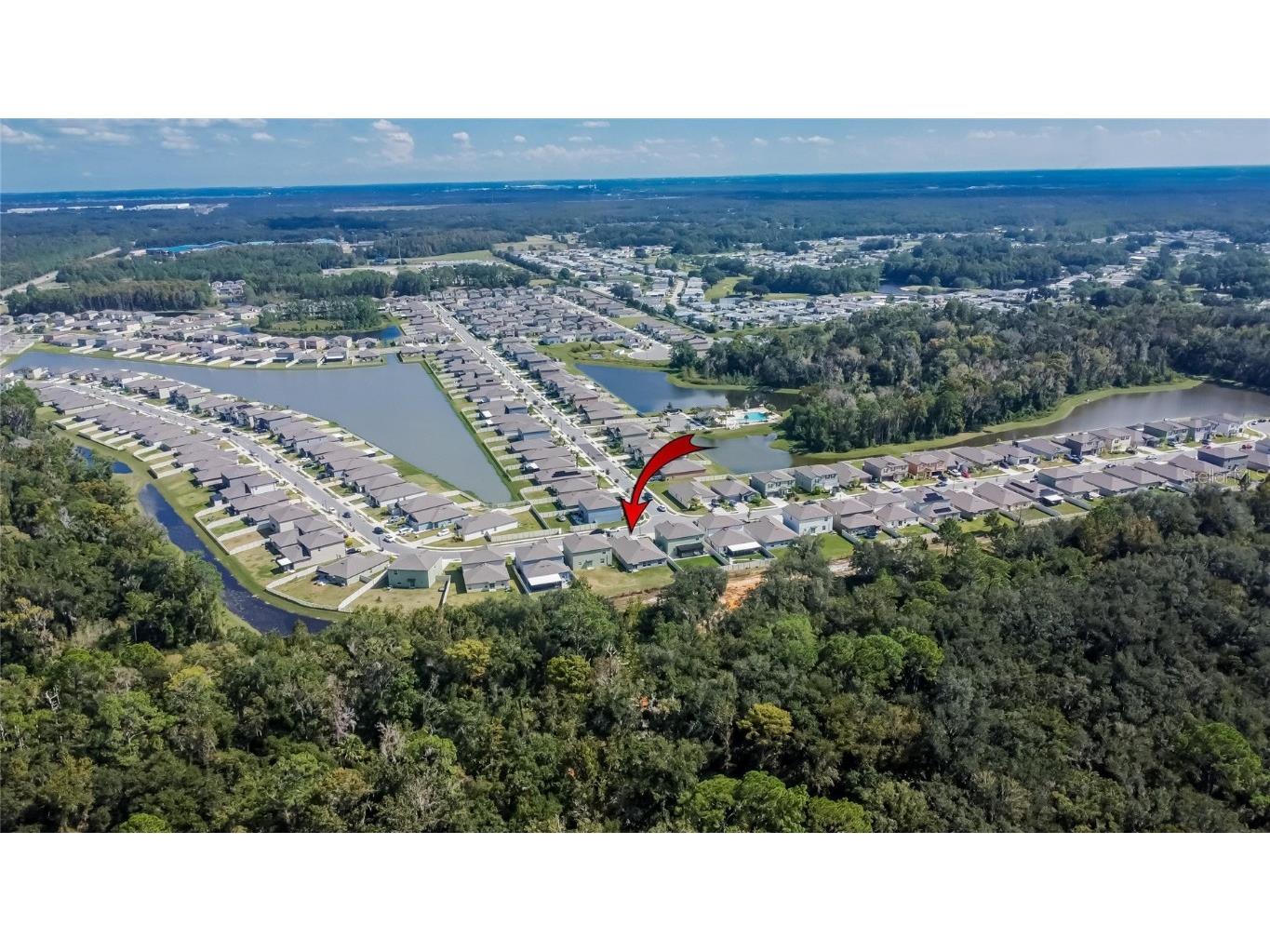 1748 Red Loop Lakeland FL 33801 TB8440325 image60