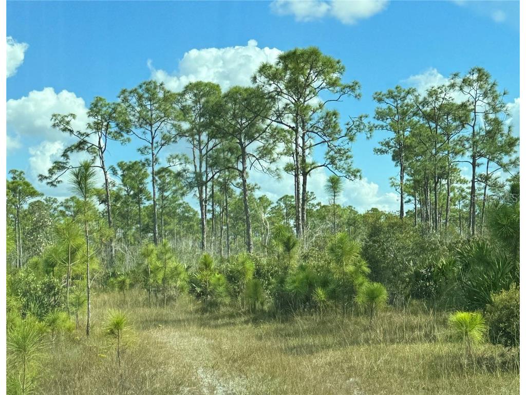 17480 Burnt Store Road Punta Gorda FL 33955 C7468290 image1