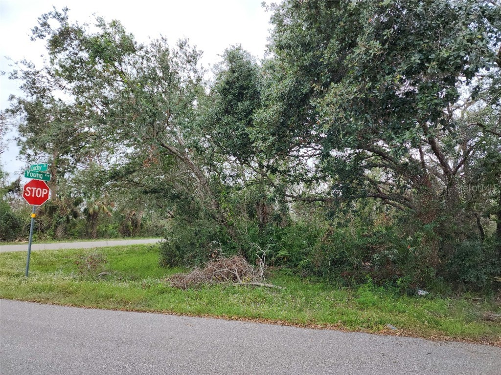 17480 Young Avenue Port Charlotte FL 33948 C7469175 image1