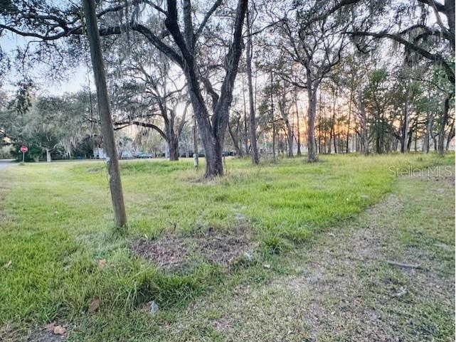 17481 Celia Avenue Brooksville FL 34604 G5105778 image1