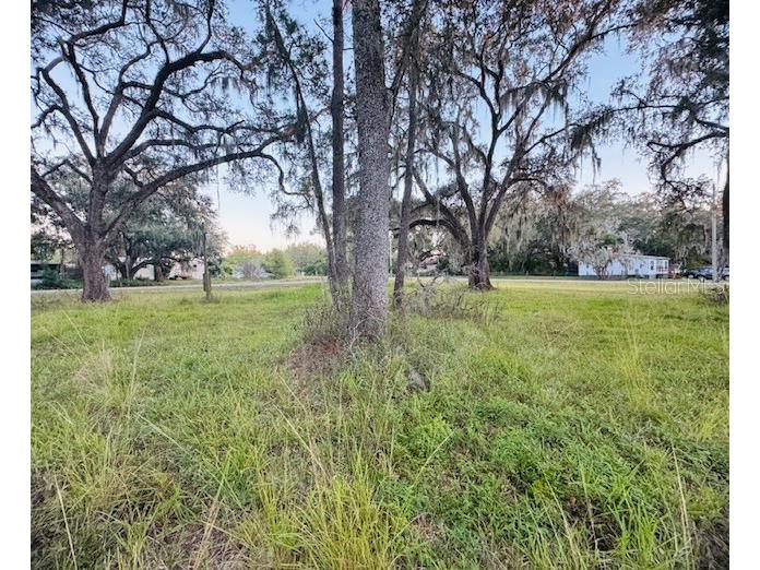 17481 Celia Avenue Brooksville FL 34604 G5105778 image10