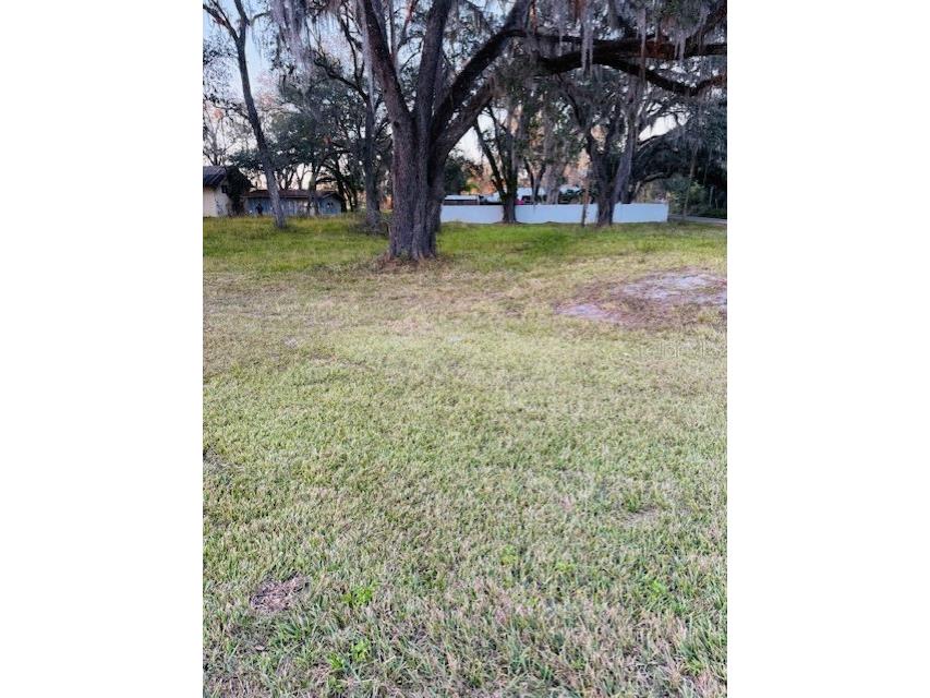 17481 Celia Avenue Brooksville FL 34604 G5105778 image3