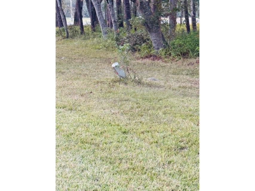 17481 Celia Avenue Brooksville FL 34604 G5105778 image4