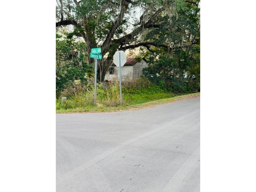 17481 Celia Avenue Brooksville FL 34604 G5105778 image6