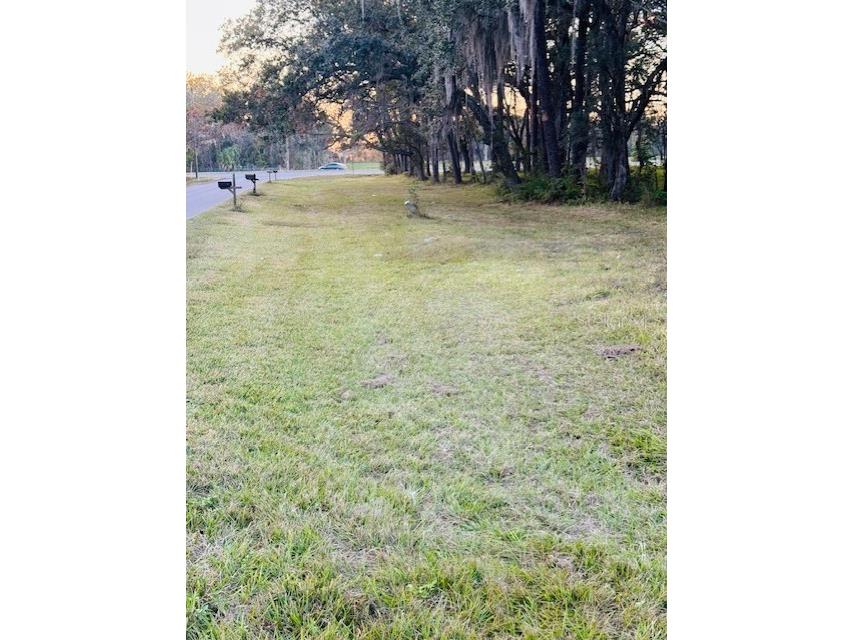 17481 Celia Avenue Brooksville FL 34604 G5105778 image7