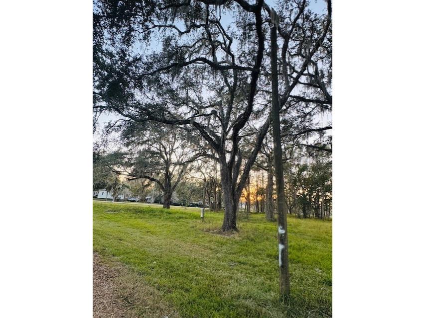 17481 Celia Avenue Brooksville FL 34604 G5105778 image8