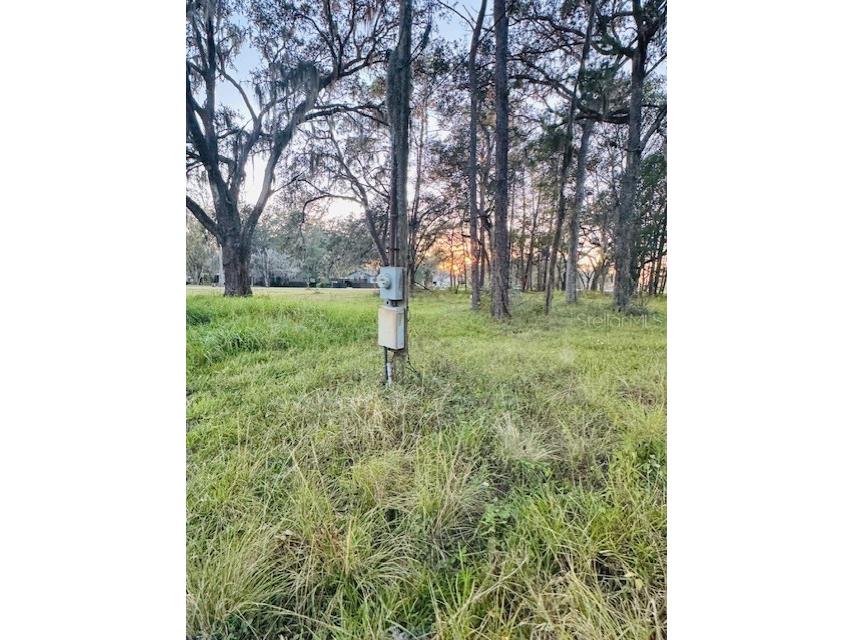 17481 Celia Avenue Brooksville FL 34604 G5105778 image9