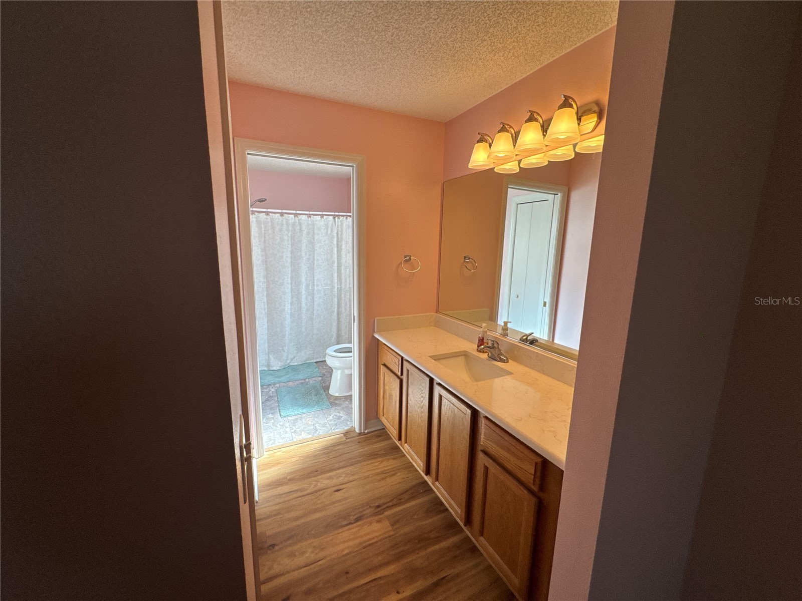 17481 SE 76th Flintlock Terrace The Villages FL 32162 O6426353 image8