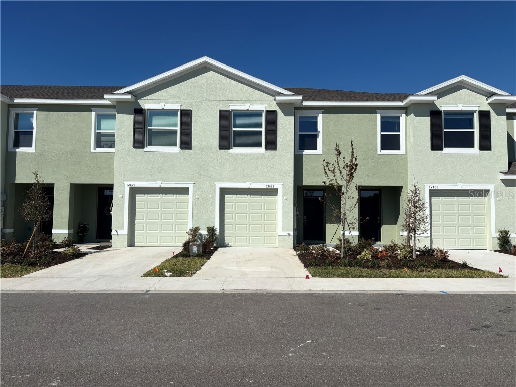 17481 Spanish Oak Loop Land O Lakes FL 34638 TB8449365 image1