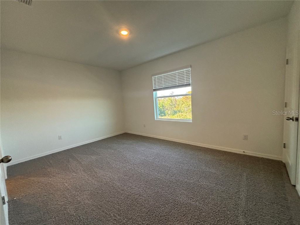 17481 Spanish Oak Loop Land O Lakes FL 34638 TB8449365 image12