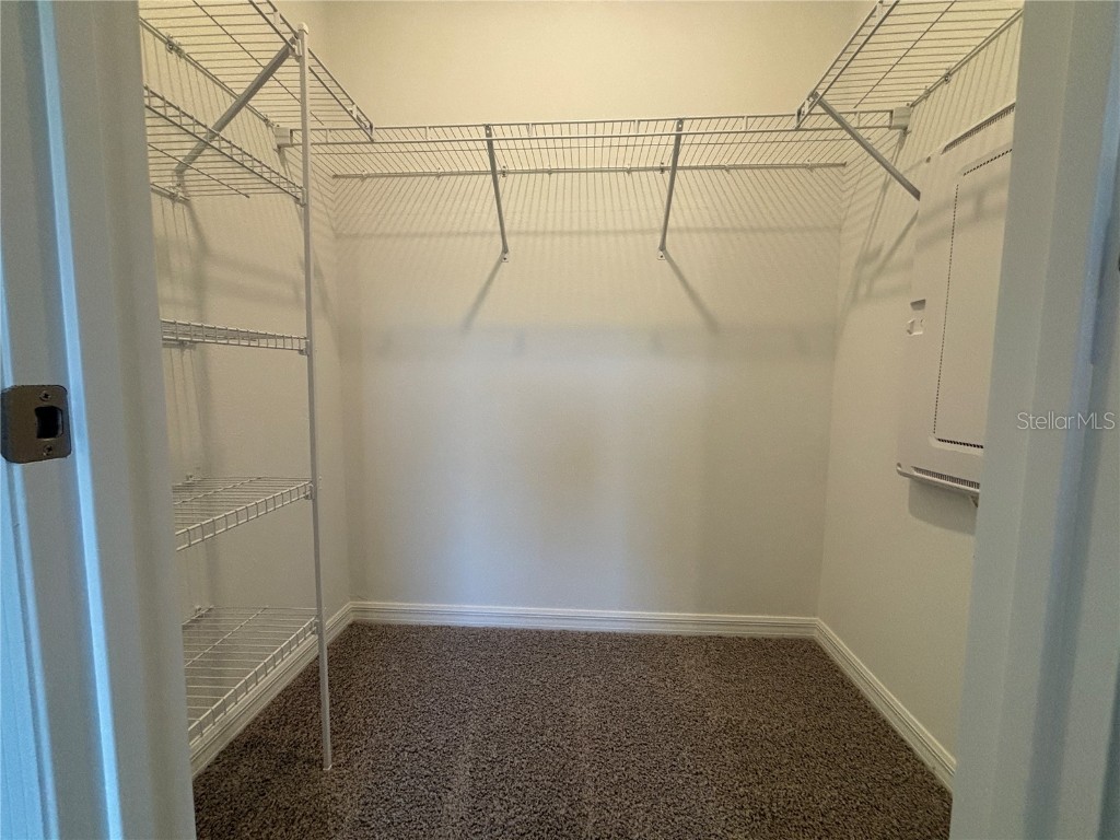 17481 Spanish Oak Loop Land O Lakes FL 34638 TB8449365 image14