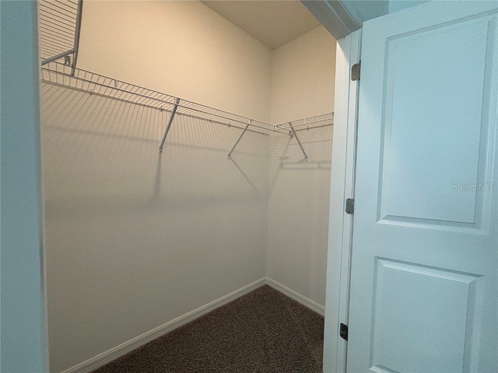 17481 Spanish Oak Loop Land O Lakes FL 34638 TB8449365 image25