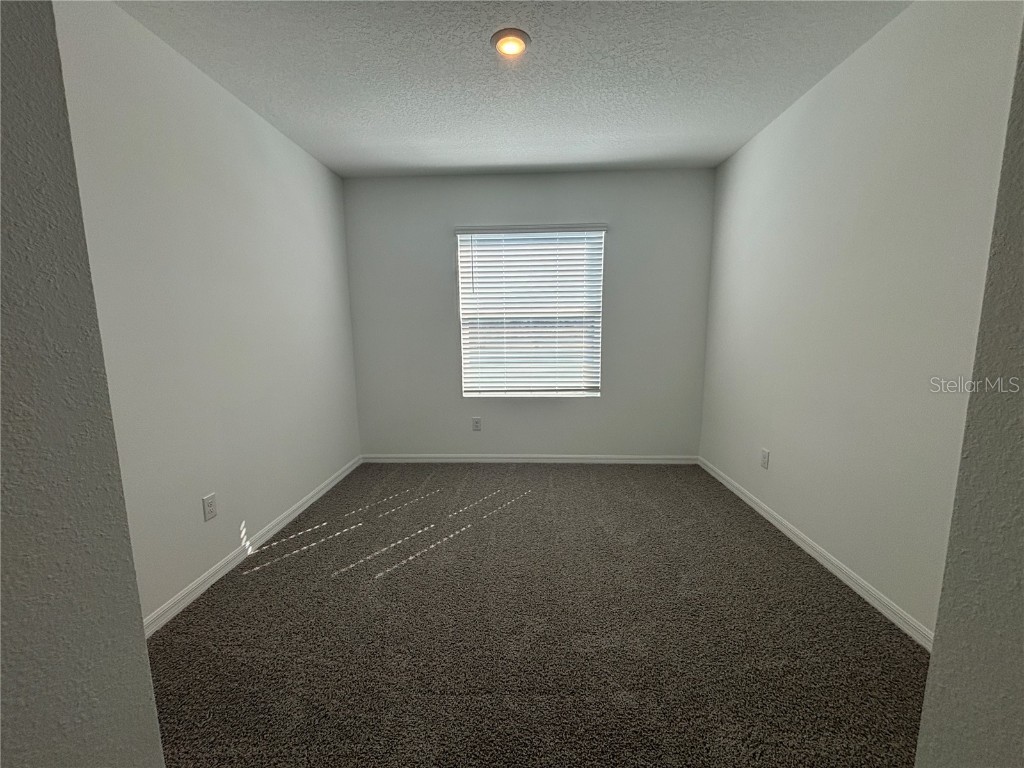 17481 Spanish Oak Loop Land O Lakes FL 34638 TB8449365 image26