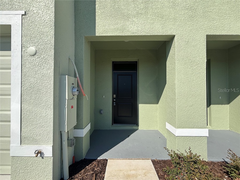 17481 Spanish Oak Loop Land O Lakes FL 34638 TB8449365 image3