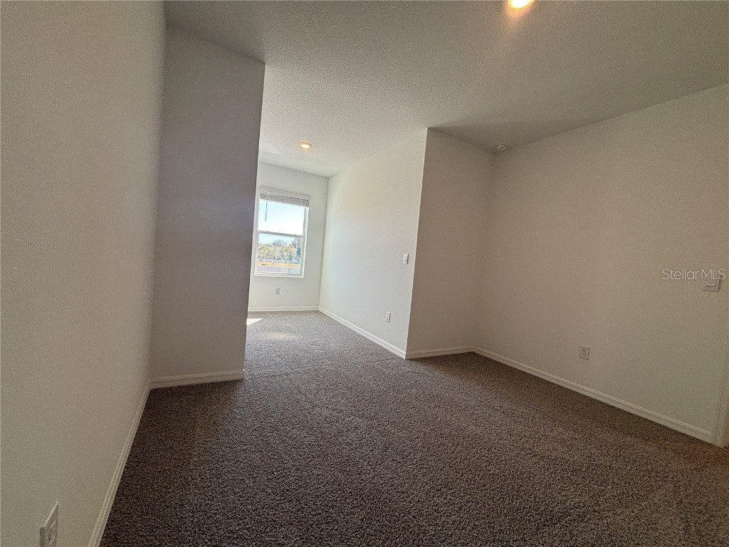 17481 Spanish Oak Loop Land O Lakes FL 34638 TB8449365 image31