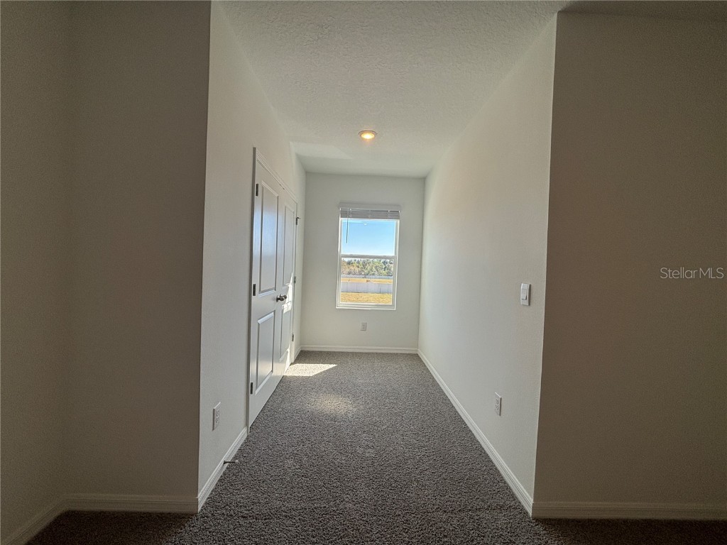 17481 Spanish Oak Loop Land O Lakes FL 34638 TB8449365 image32