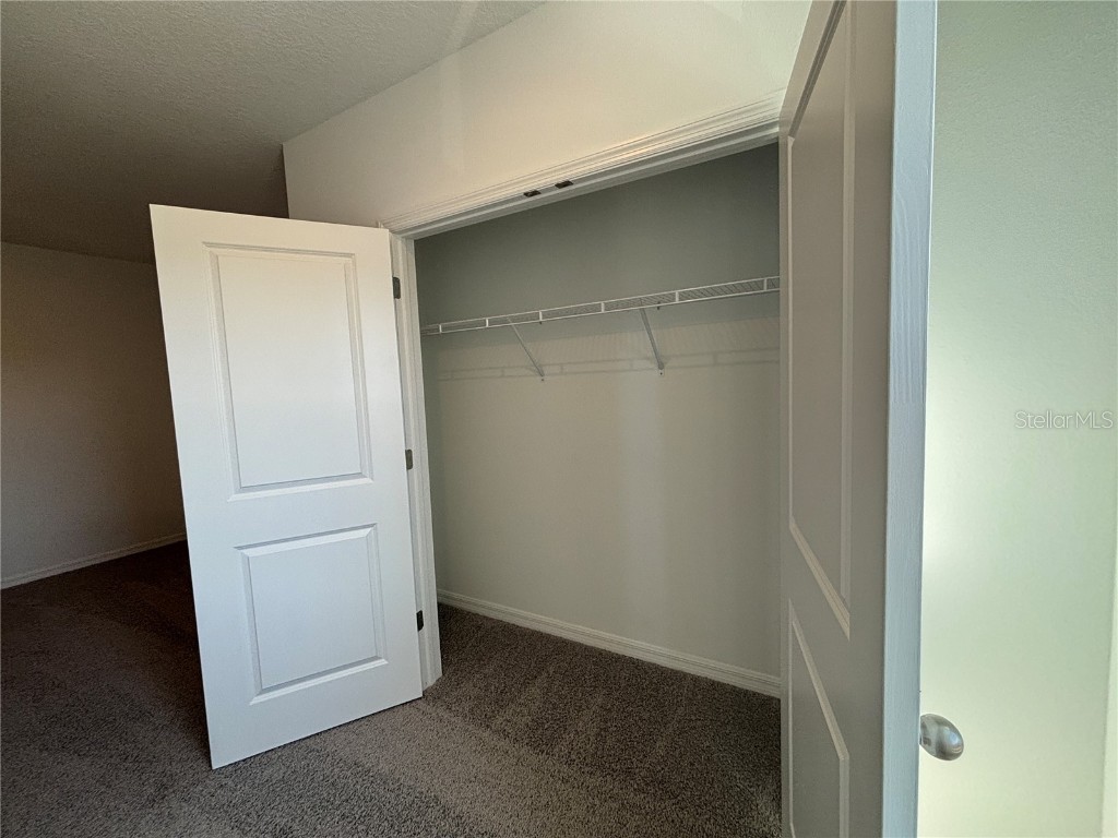 17481 Spanish Oak Loop Land O Lakes FL 34638 TB8449365 image33