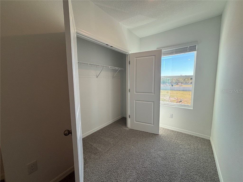 17481 Spanish Oak Loop Land O Lakes FL 34638 TB8449365 image34