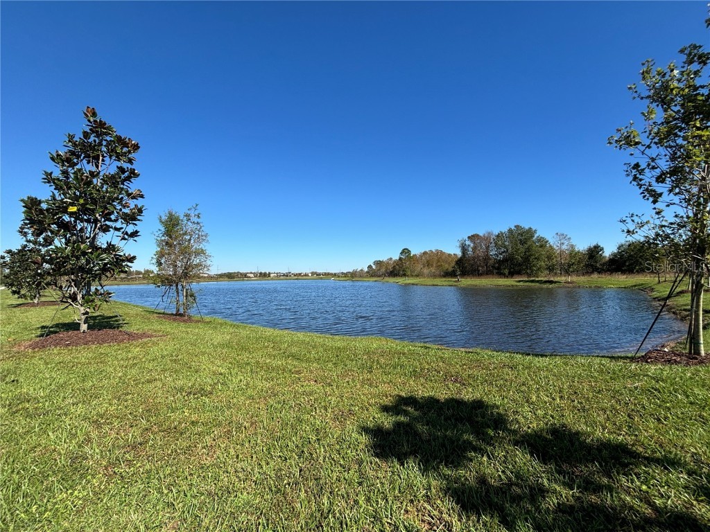 17481 Spanish Oak Loop Land O Lakes FL 34638 TB8449365 image37