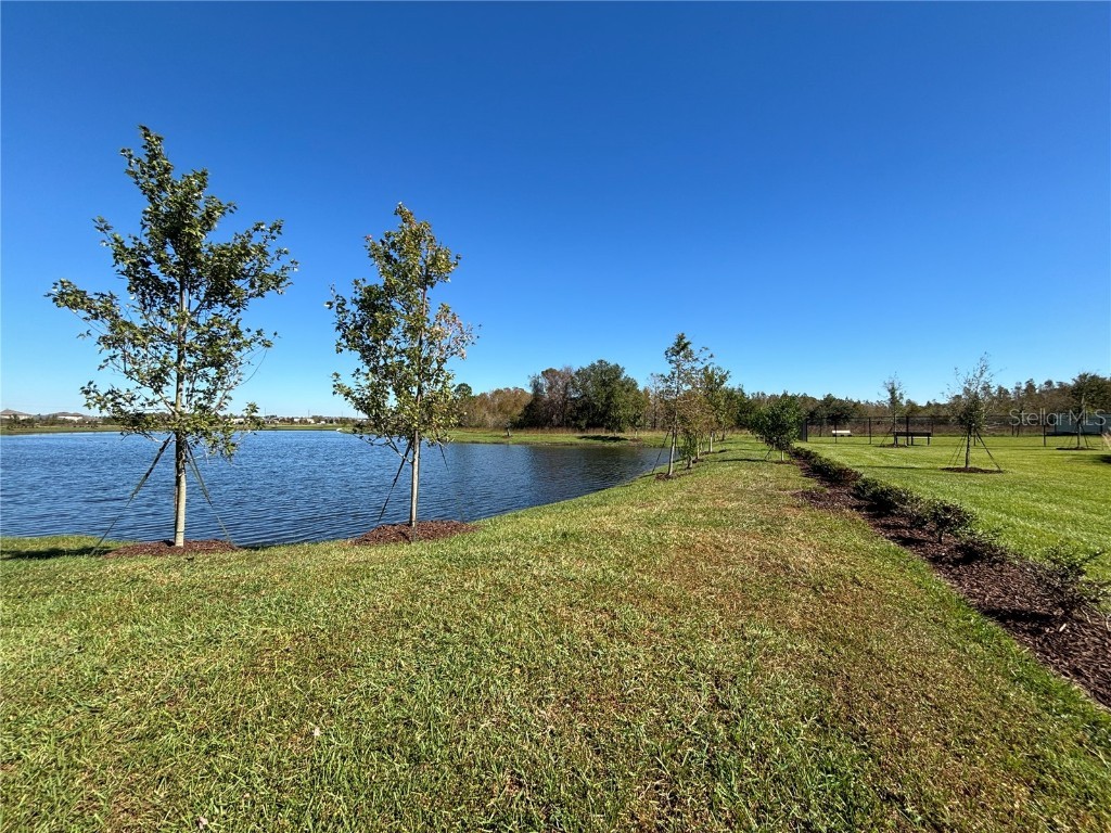 17481 Spanish Oak Loop Land O Lakes FL 34638 TB8449365 image38