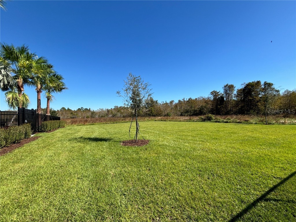 17481 Spanish Oak Loop Land O Lakes FL 34638 TB8449365 image44