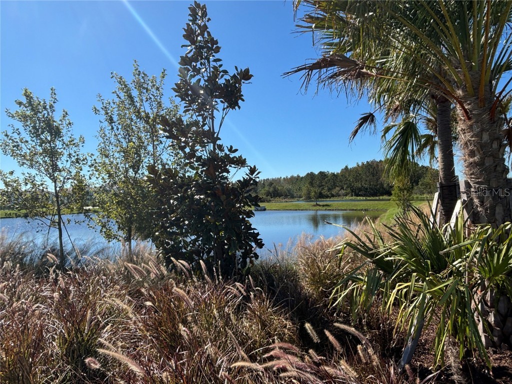 17481 Spanish Oak Loop Land O Lakes FL 34638 TB8449365 image55