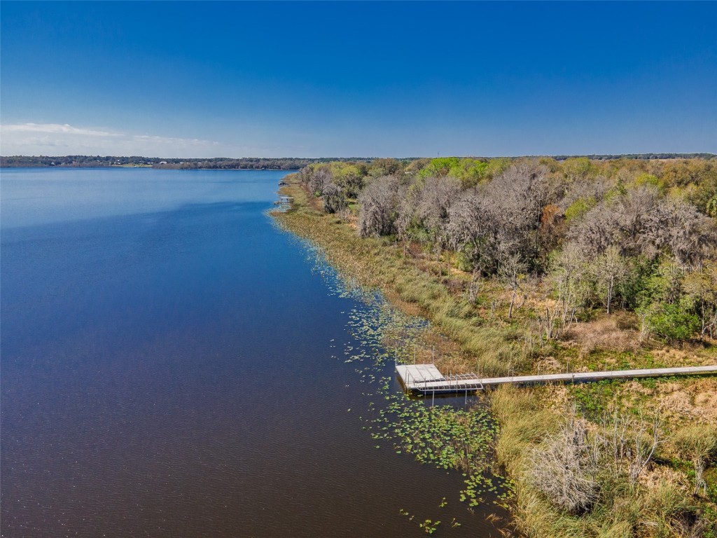 17482 SE 34th Lane Ocklawaha FL 32179 - LAKE BRYANT O6285464 image10