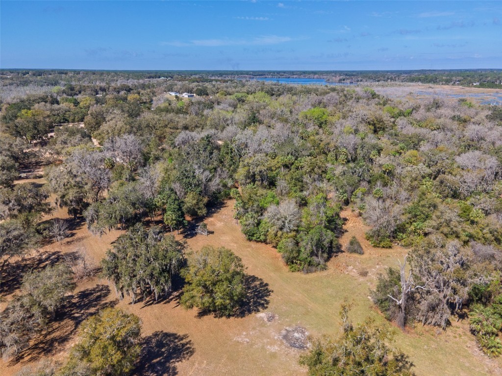 17482 SE 34th Lane Ocklawaha FL 32179 - LAKE BRYANT O6285464 image12