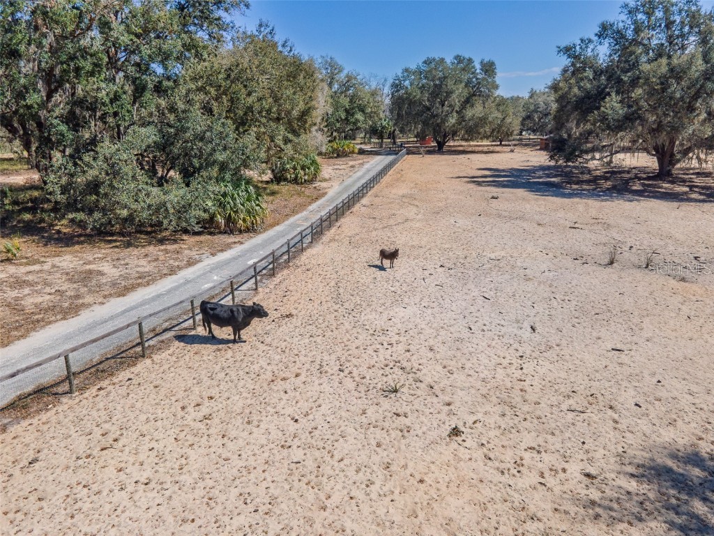 17482 SE 34th Lane Ocklawaha FL 32179 - LAKE BRYANT O6285464 image16