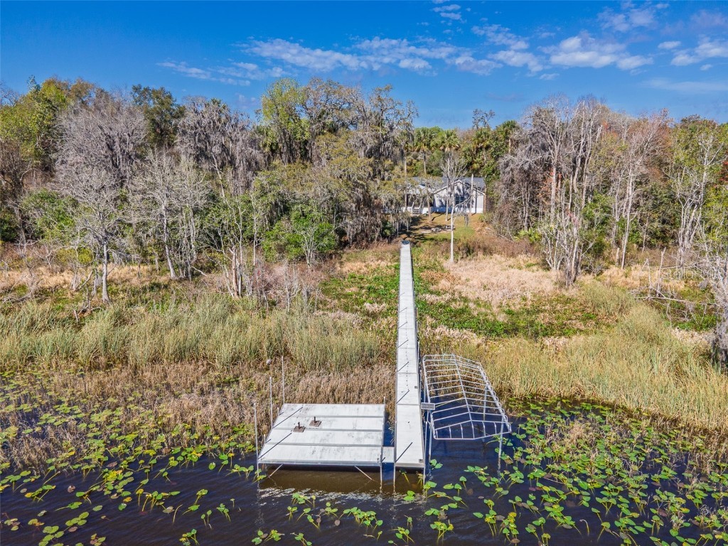 17482 SE 34th Lane Ocklawaha FL 32179 - LAKE BRYANT O6285464 image4