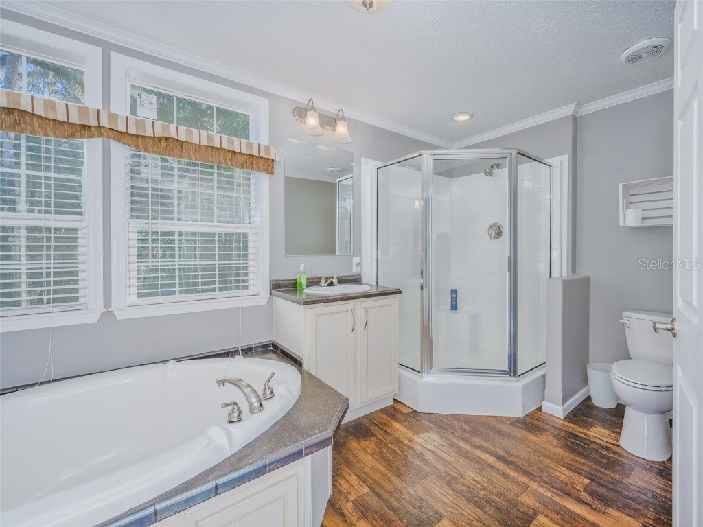 17482 SE 34th Lane Ocklawaha FL 32179 - LAKE BRYANT O6285464 image42