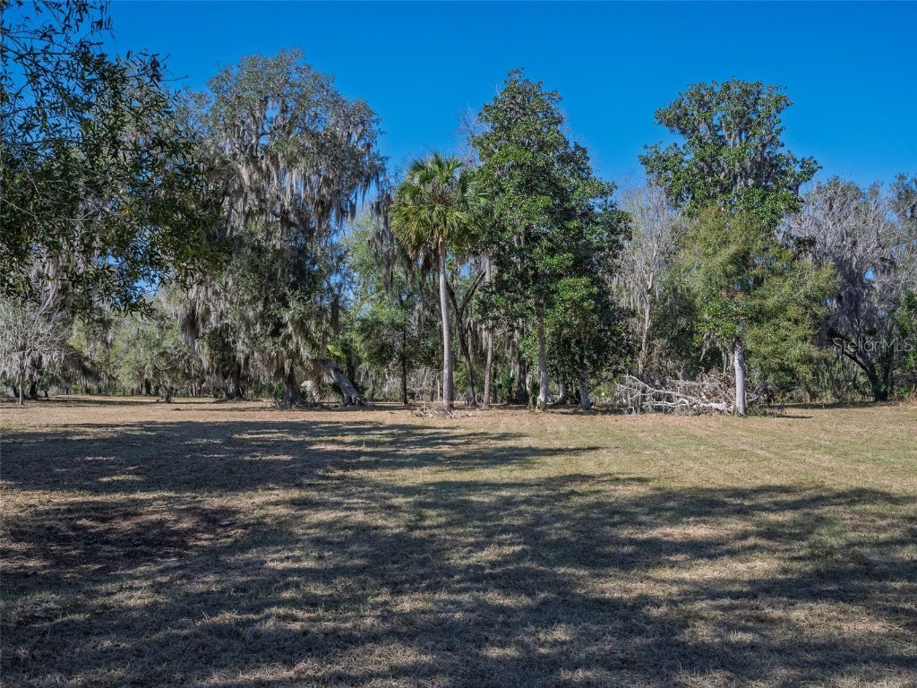 17482 SE 34th Lane Ocklawaha FL 32179 - LAKE BRYANT O6285464 image59