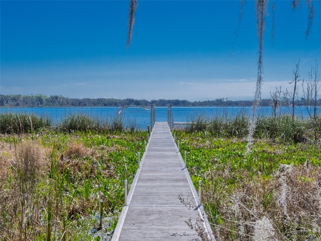 17482 SE 34th Lane Ocklawaha FL 32179 - LAKE BRYANT O6285464 image62