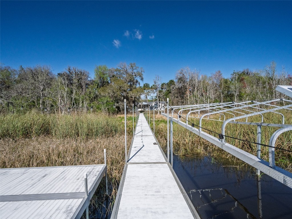 17482 SE 34th Lane Ocklawaha FL 32179 - LAKE BRYANT O6285464 image65