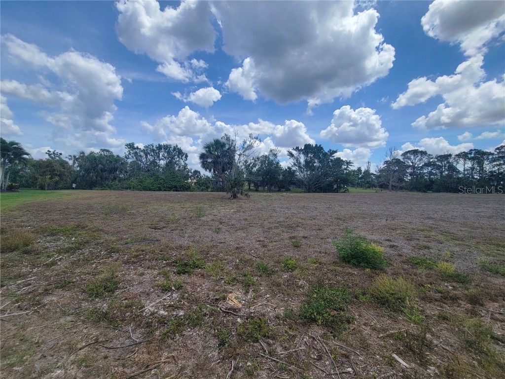 17484 Cuillagan Court Punta Gorda FL 33955 C7475983 image1