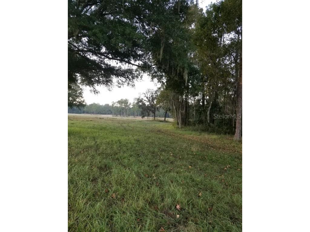 17485 Poyner Road N Polk City FL 33868 J938425 image1
