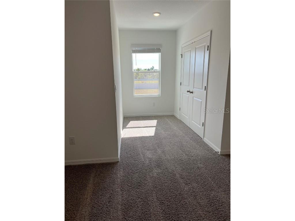 17485 Spanish Oak Loop Land O Lakes FL 34638 TB8449782 image11