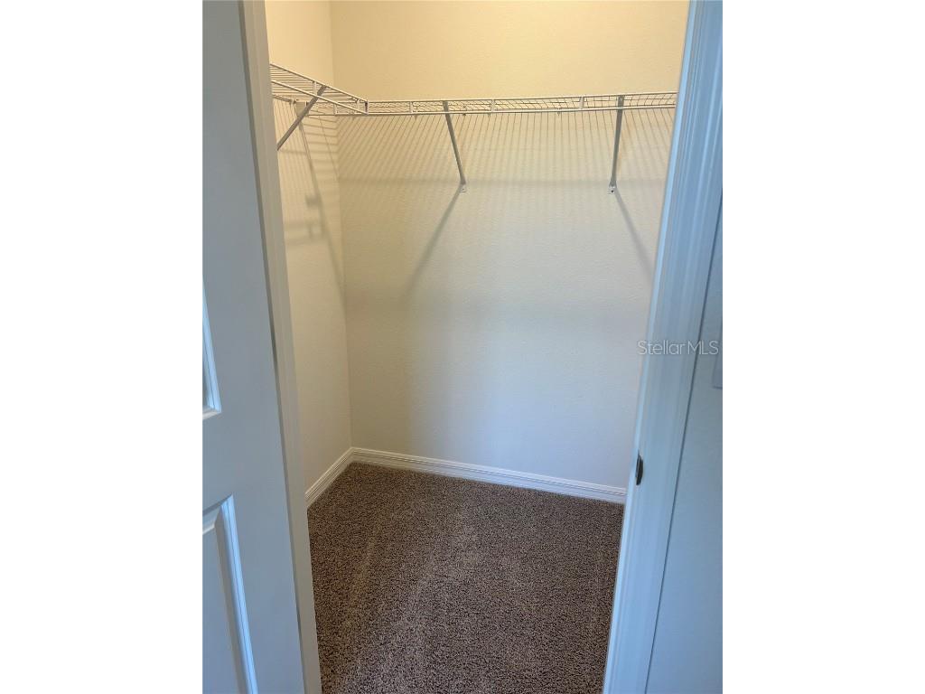 17485 Spanish Oak Loop Land O Lakes FL 34638 TB8449782 image4