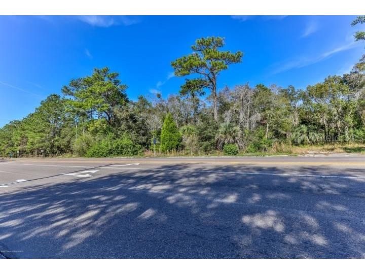 17485 Spring Hill Drive Brooksville FL 34604 W7819473 image1