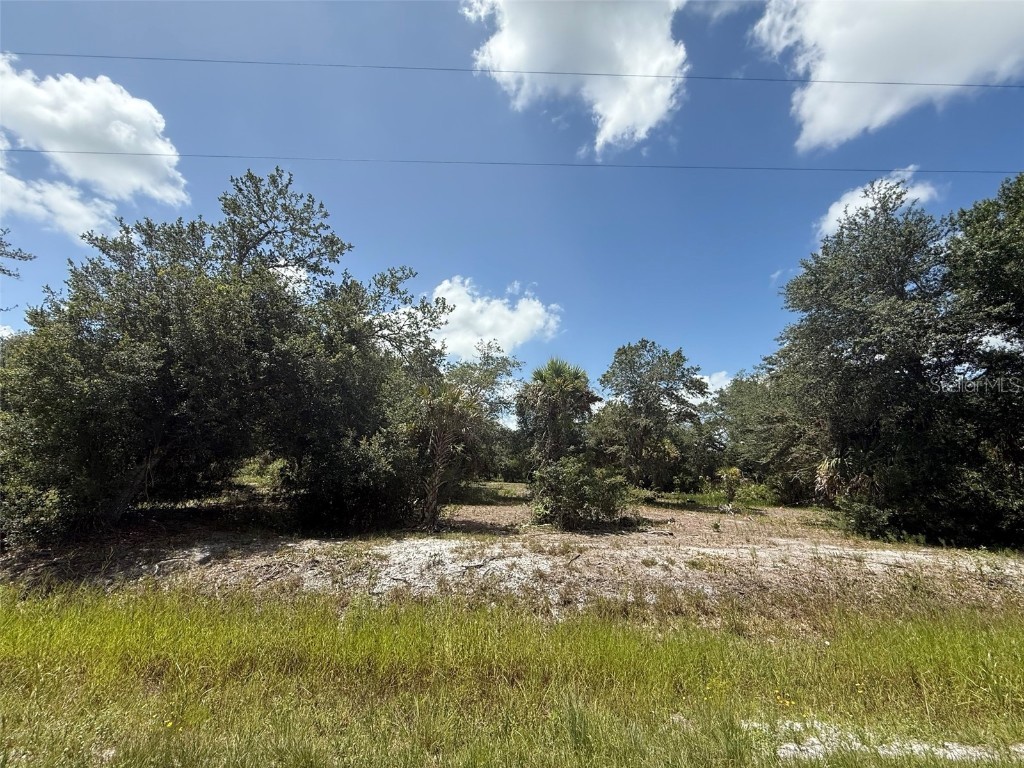 17486 NW 276th Street Okeechobee FL 34972 OK225298 image1