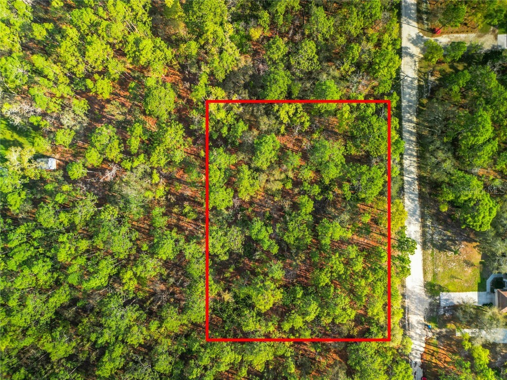 17487 Macy Road Weeki Wachee FL 34614 W7863045 image1
