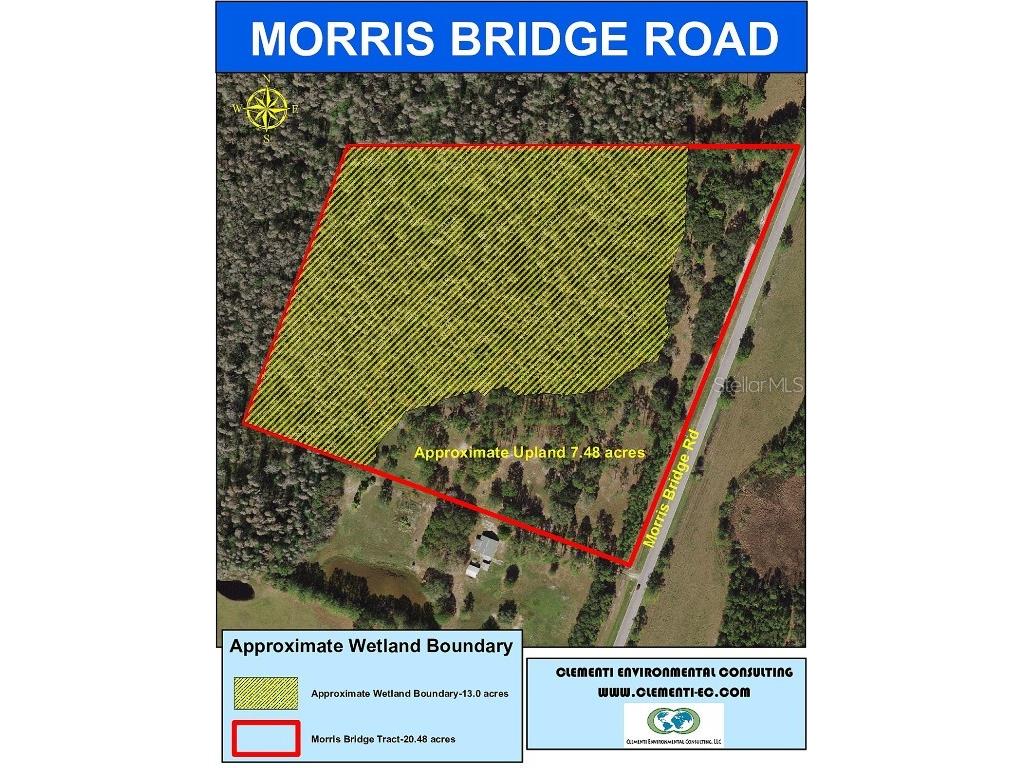 1749 Morris Bridge Road Zephyrhills FL 33543 T3421281 image1