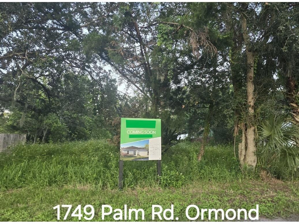 1749 Palm Road Ormond Beach FL 32174 O6350258 image18