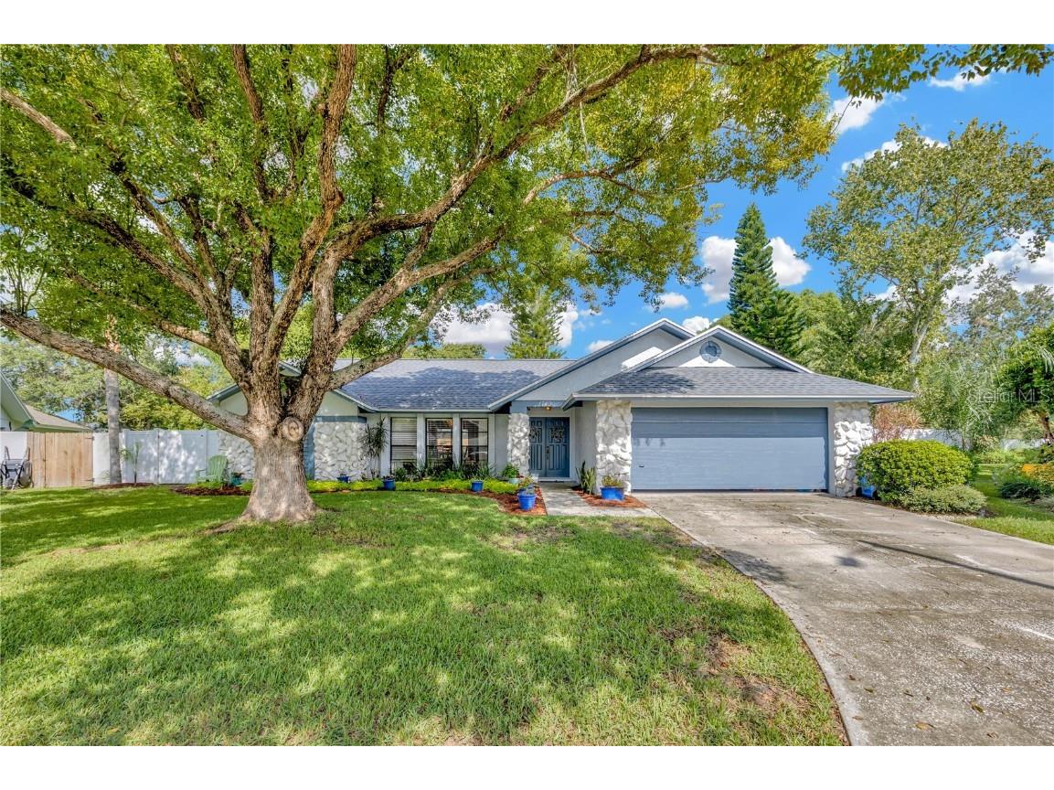 1749 Shady Leaf Drive Valrico FL 33596 T3544272 image1